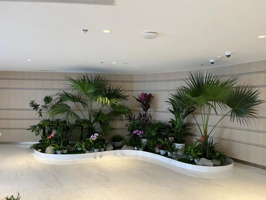 宁波前湾植物租赁方案